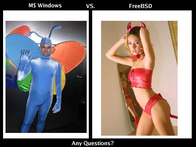 windows-freebsd.jpg