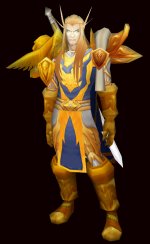 highelfpaladin.jpg