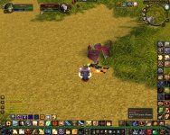 WoWScrnShot_051108_140806.jpg