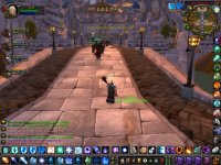 WoWScrnShot_060108_054938.jpg