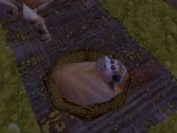 Безымянный.JPG