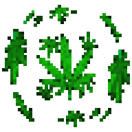 Лин