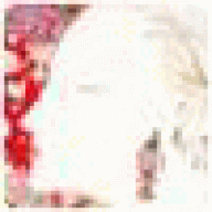 inpuserne