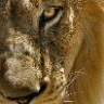 Jhon