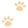 pixel