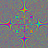 Lizard