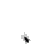 schku_de